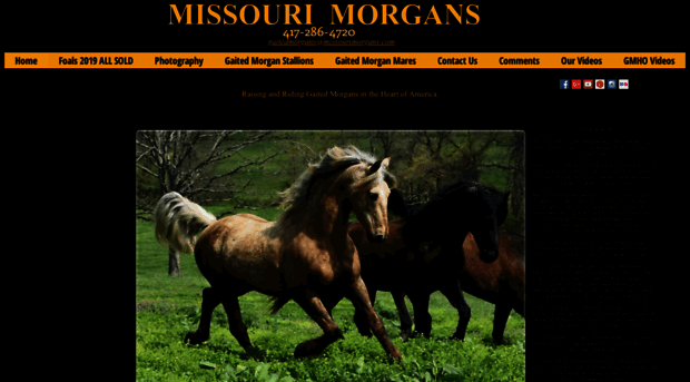 missourimorgans.com