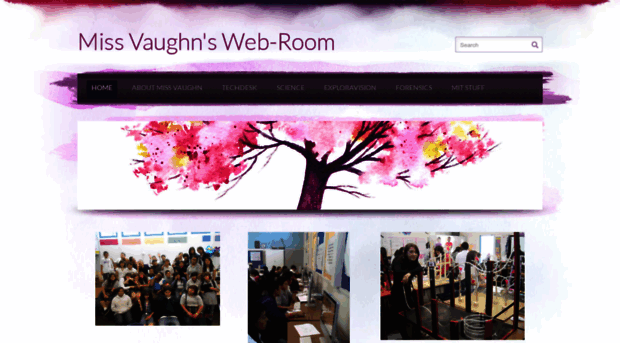 missvaughnswebroom.weebly.com