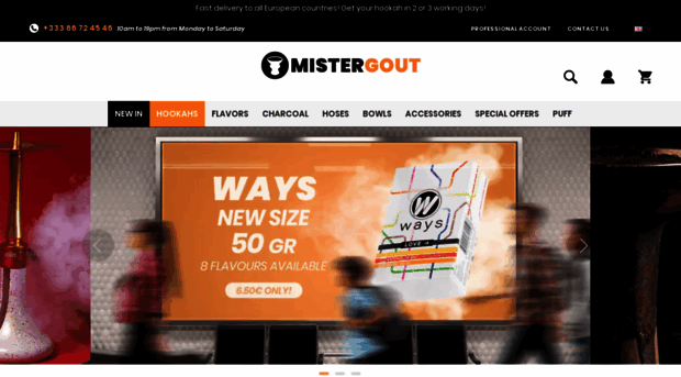 mistergout.com