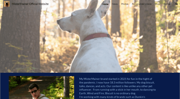 mistermainer.com