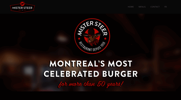 mistersteer.com