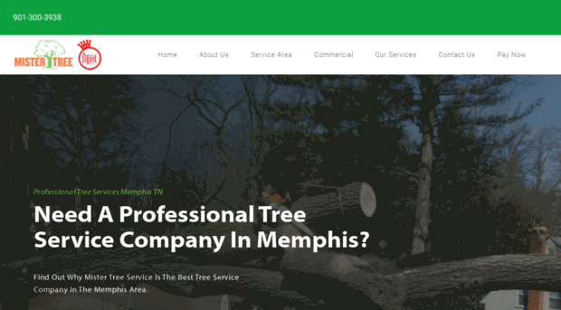 mistertreeservice.com