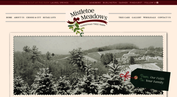 mistletoemeadows.com