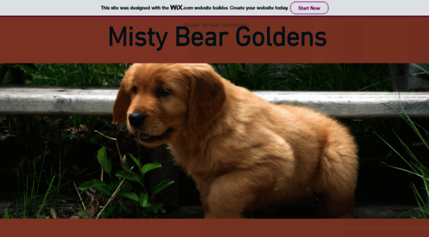 mistybear.com