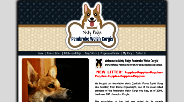 mistyridgecorgis.com