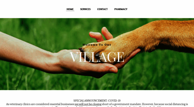 mitchellvillageanimalhospital.com