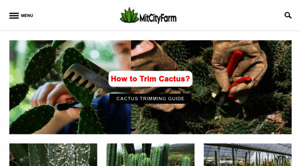 mitcityfarm.com