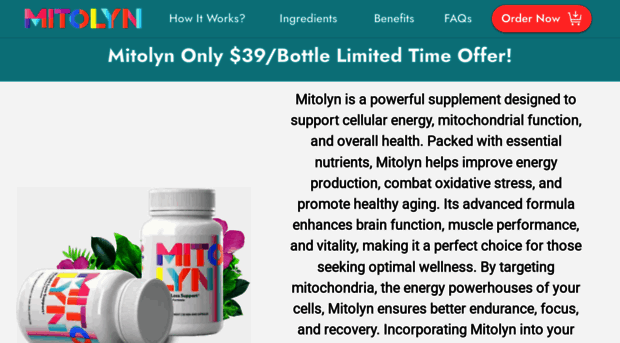 mitollynn.com