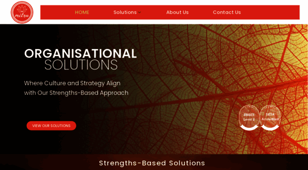 mitraconsulting.co.za