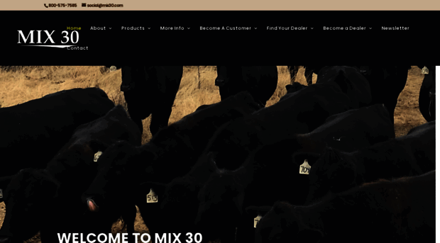 mix30.com