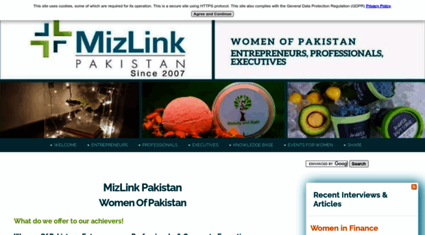 mizlink-pakistan.com