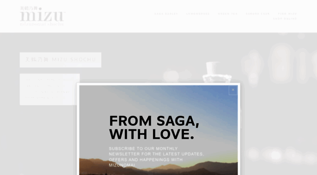 mizushochu.com