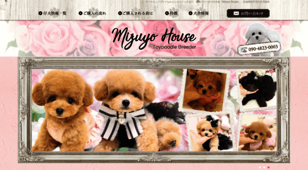 mizuyohouse.com