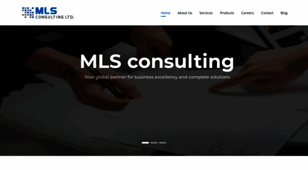 mlsconsulting.org