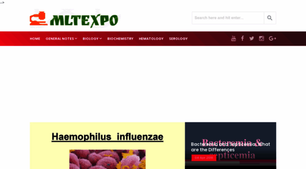 mltexpo.blogspot.com