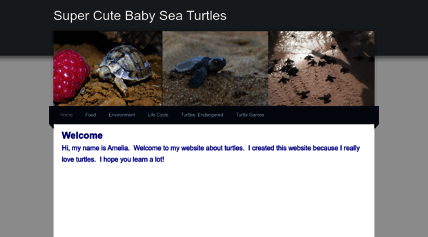 mmhsupercutebabyseaturtlesamelia.weebly.com