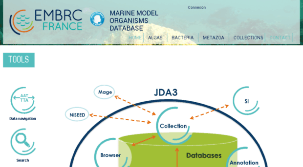 mmo.embrc-france.fr