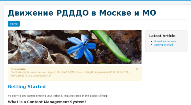 mmo.rdddo.ru