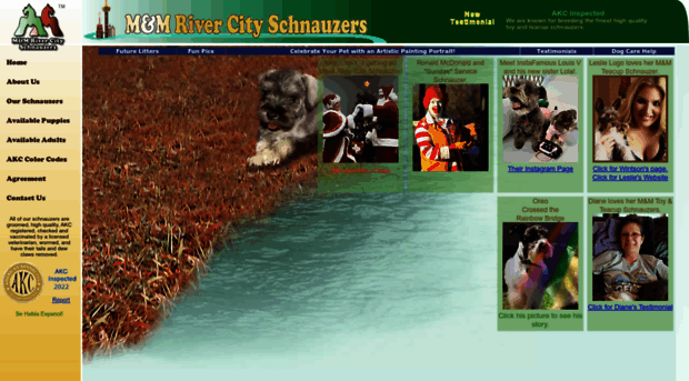 mmrivercityschnauzers.com