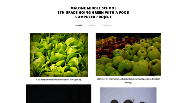 mmsfoodcomputerproject.weebly.com