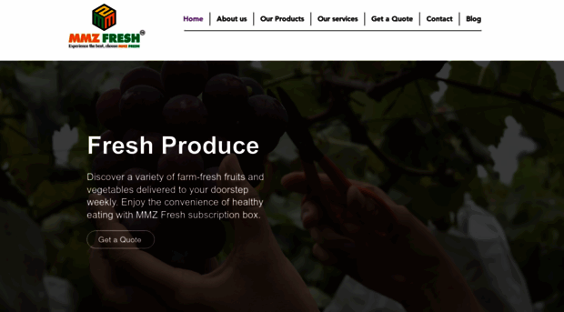 mmzfresh.com