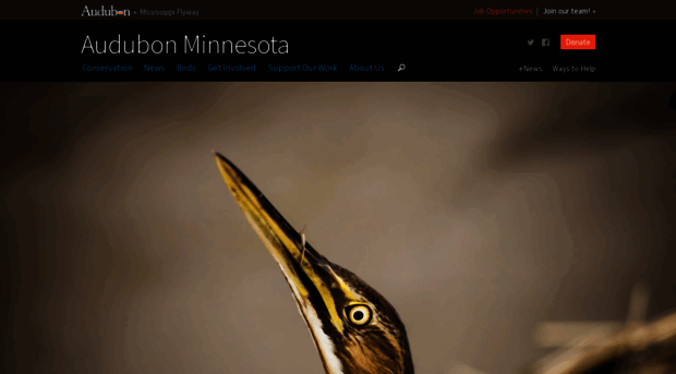 mn.audubon.org