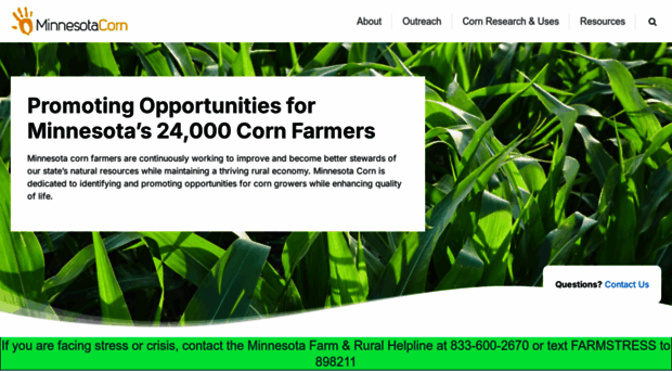 mncorn.org