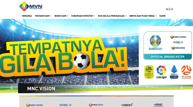 mncvisionnetworks.com