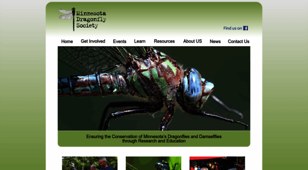 mndragonfly.org