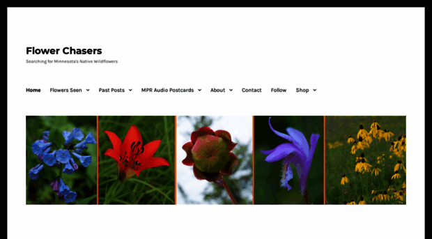 mnnativewildflowers.com