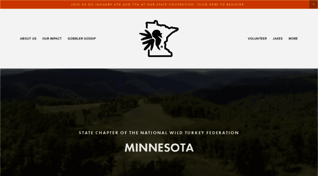 mnnwtf.org