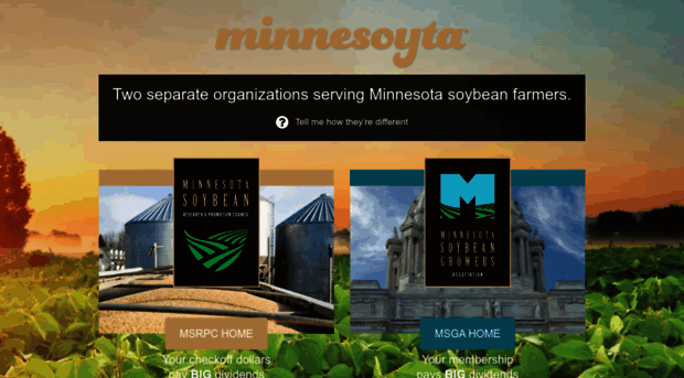 mnsoybean.org