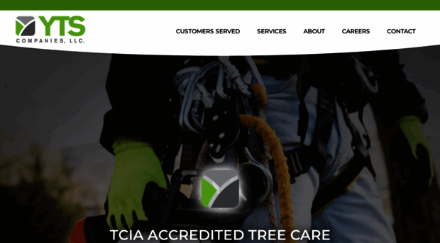 mntreeservice.com