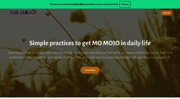 mo-mojo-daily.teachable.com