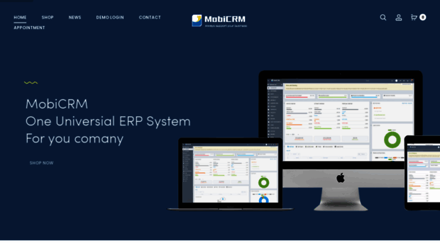 mobi-crm.com