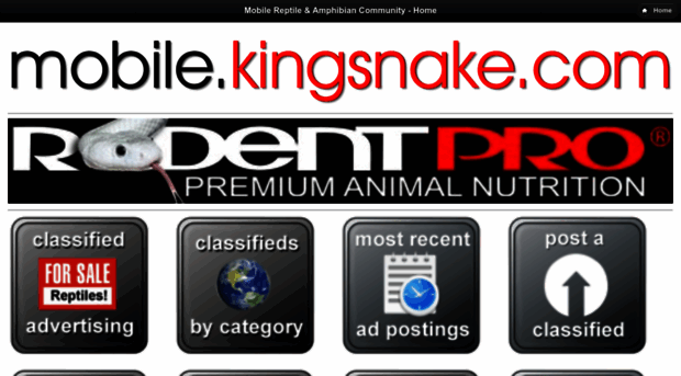 mobile.kingsnake.com