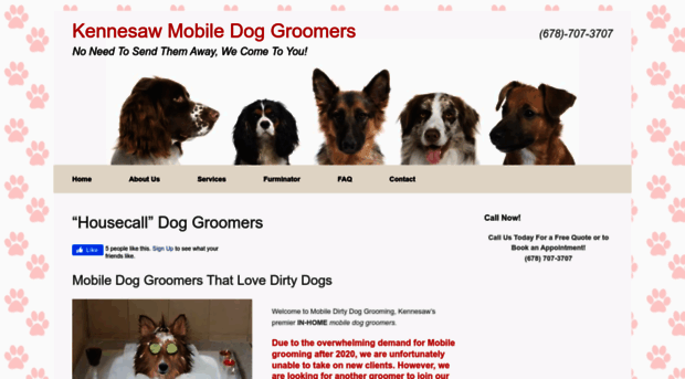 mobiledirtydoggrooming.com