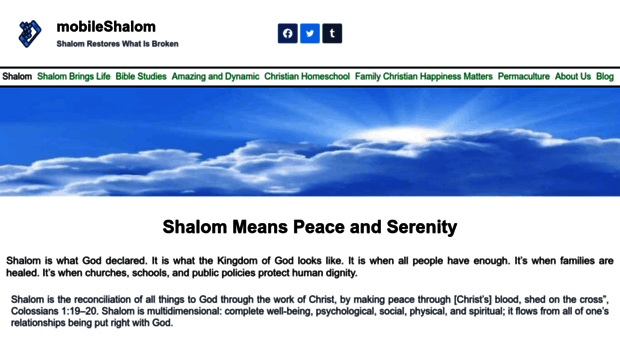 mobileshalom.com