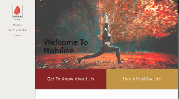 mobilise.info