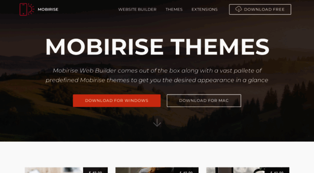 mobirisethemes.com