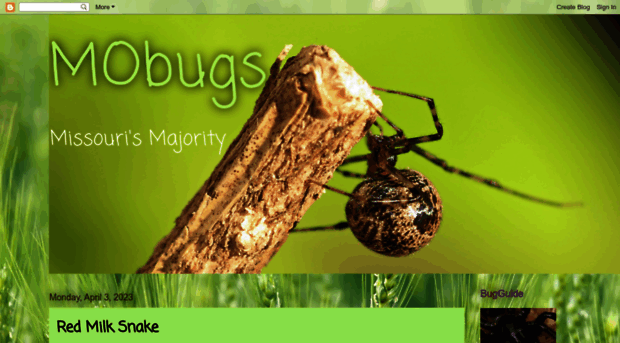 mobugs.blogspot.com