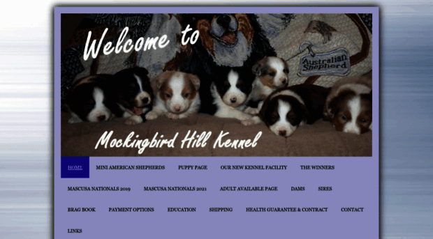 mockingbirdhillkennel.com