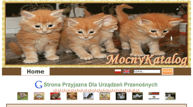 mocnykatalog.edu.pl