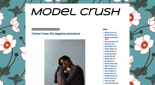 modelcrush.blogspot.com