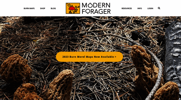 modern-forager.com