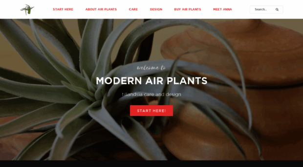 modernairplants.com