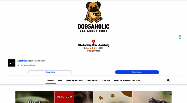 moderndogmastery.com