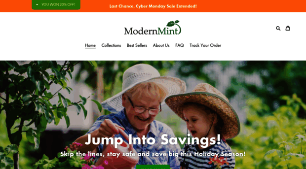 modernmint.com