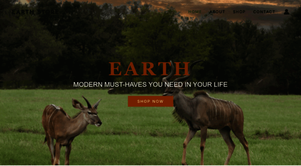 modernmusthave.com