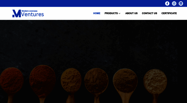 modernoverseasventures.com